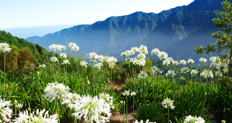 Frühlingswandern auf Madeira