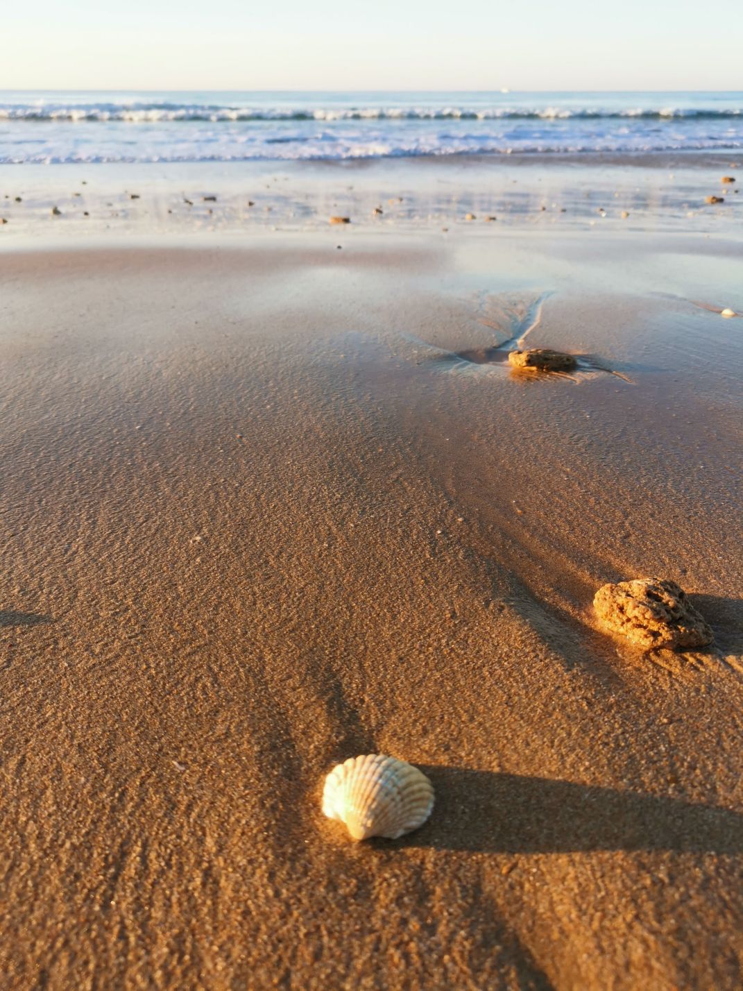 strand-algarve.jpeg